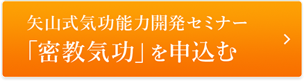 矢山式気功 公式サイト